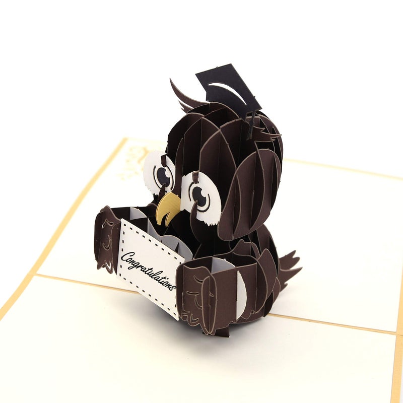 Liif Graduation Owl 2024 3D Pop Up Graduation Card, Class of 2024 - Image 4